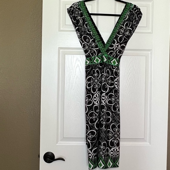 Roulette V neck Dress - Picture 6 of 8